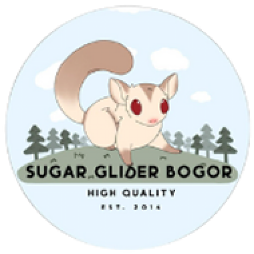 Contact Us Sugar Glider Bogor